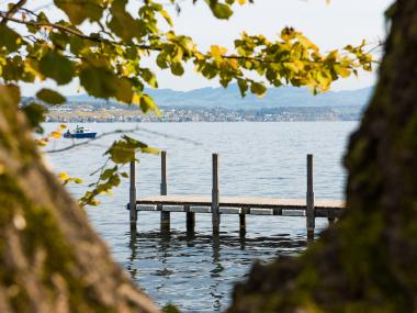 Zürichsee